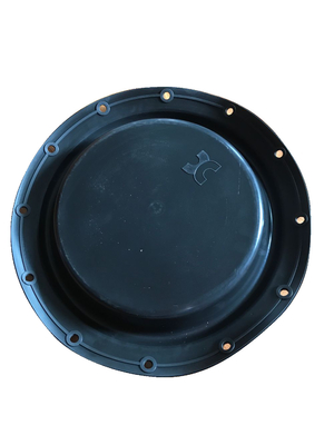PTFE Tetrafluoro Acid Alkali Resistant Rubber Diaphragm Seals Pump Diaphragm