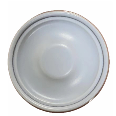Composite PTFE EPDM Diaphragm For Aquasystem Metering Pump