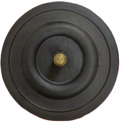 Sanitary Metering Pump Diaphragm Seal Kit Motor Driven PTFE Diaphragm Dosing Pump