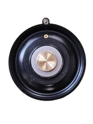 2 Way Pneumatic Solenoid Valve Diaphragm With High Temperature Performance