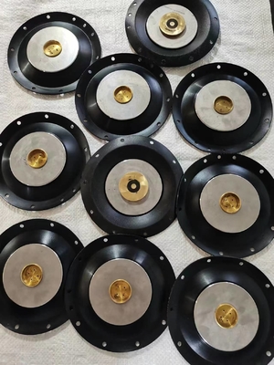 Stainless Steel 24V Solenoid Valve Diaphragm With 10 Bar Pressure Resistance