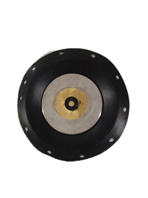 Stainless Steel Diaphragm Solenoid Valve 10 Bar Pressure Resistance Thread Connection