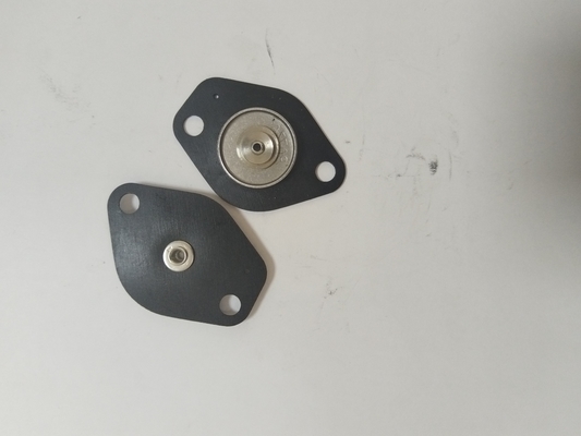 24V Stainless Steel Thread Connection Diaphragm for Solenoid Valve