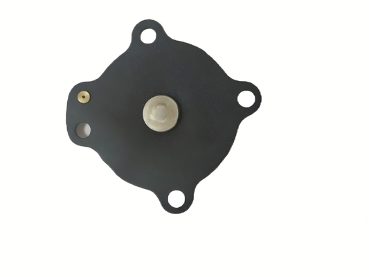 Temperature Control Made Simple with Black Solenoid Valve Diaphragm and Threaded Connection