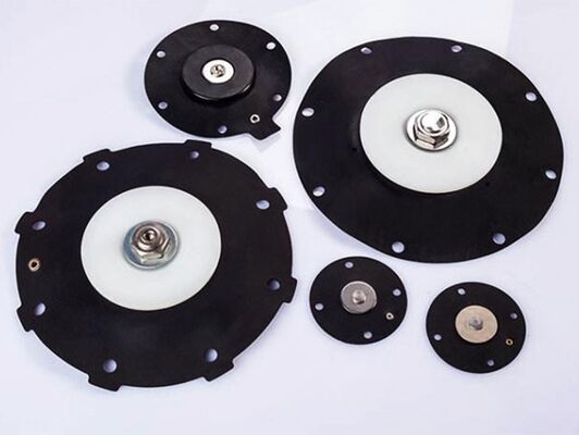 304 Stainless Steel Screws Actuated Diaphragm Featuring Temperature Range Negative 20 to 150 Degrees Celsius for Robust Industrial